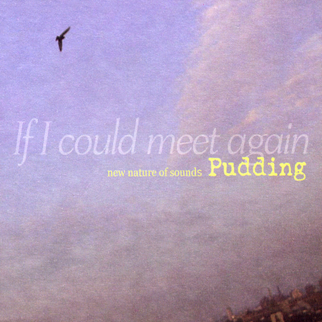 If I Could Meet Again (New Nature Of Sounds) cover art