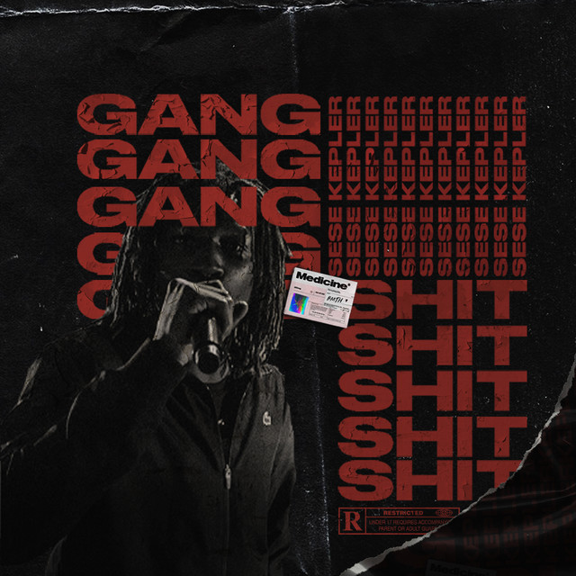 Gang Shit 5