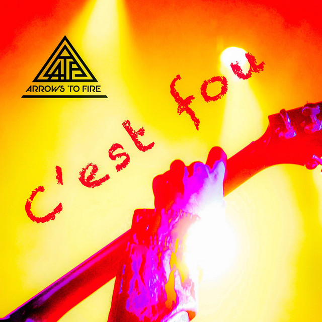 C'est Fou cover