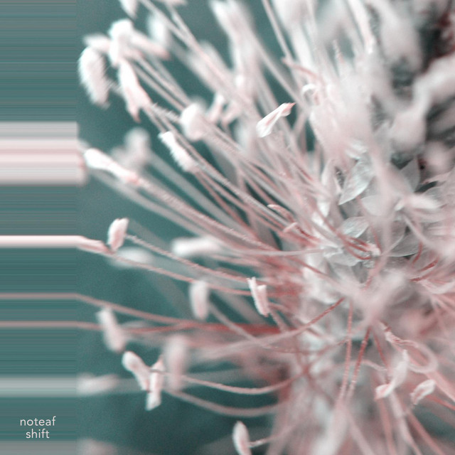 Обкладинка: Shift — noteaf