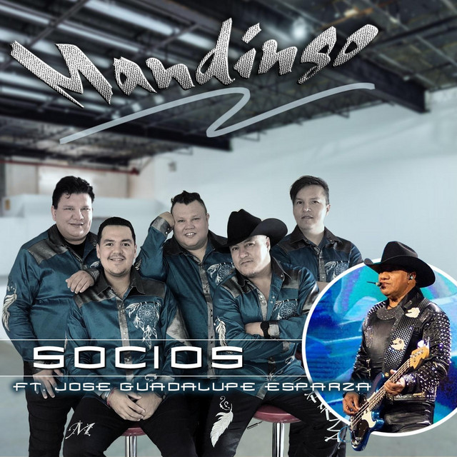 Socios