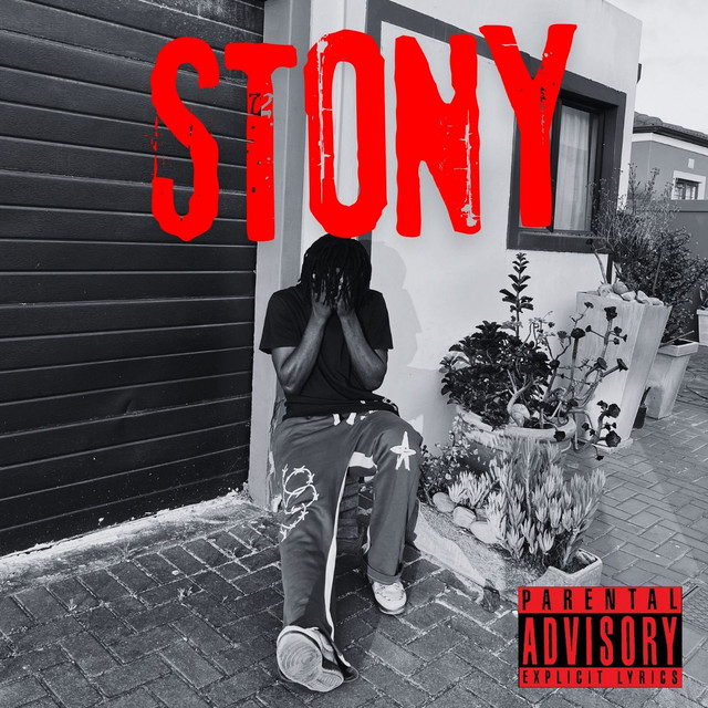 Stony cover art