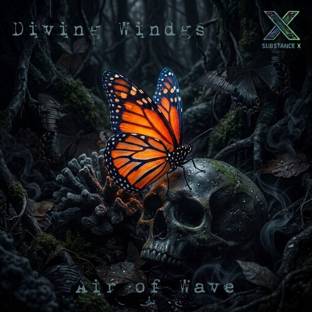 Обкладинка Air Of Wave — Diving Windgs