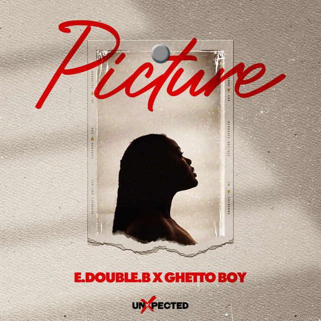 Picture cover art