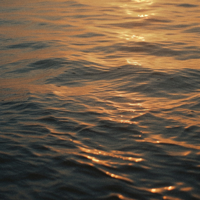 Slowly cover art