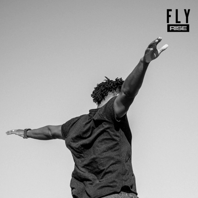 Fly