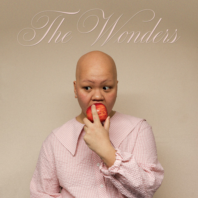 The Wonders cover art