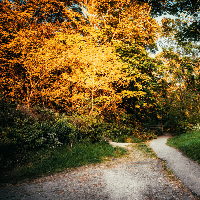 New Age Music Tracks for Comforting cover art