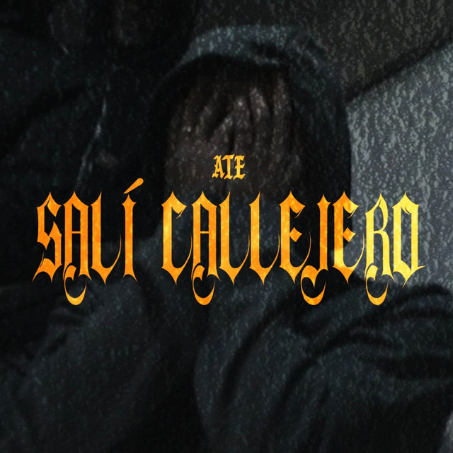 Salí Callejero