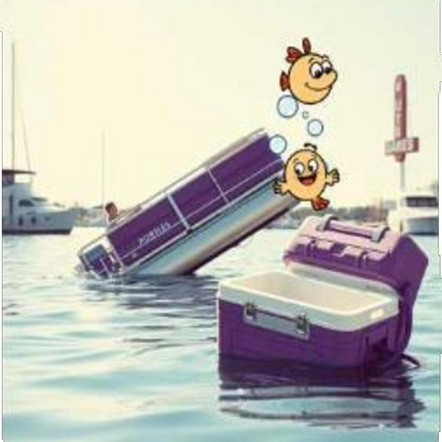 Jethro & Bubba Bought A Pontoon Boat cover