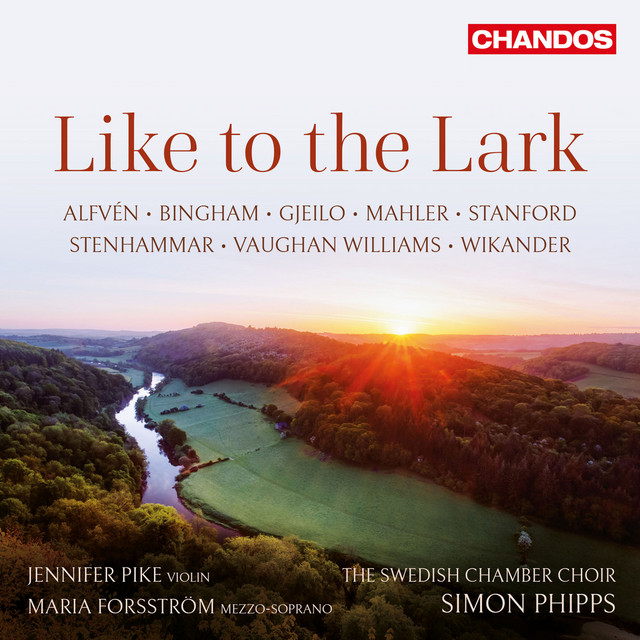 Like to the Lark cover art