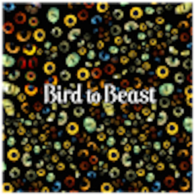 Bird To Beast cover art