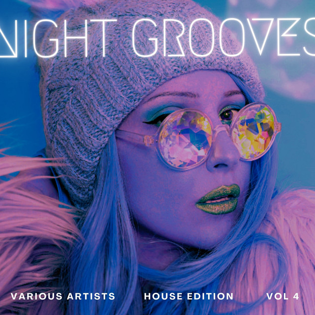 Night Grooves (House Edition), Vol. 4 cover art