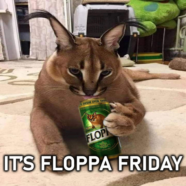 It's Floppa Friday - Single by C4RAC4L | Spotify