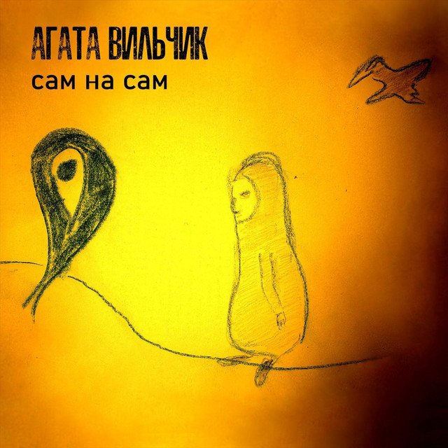 Обкладинка: Сам на сам — Агата Вильчик