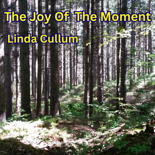 The Joy Of The Moment cover
