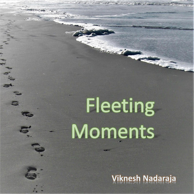 Fleeting Moments cover