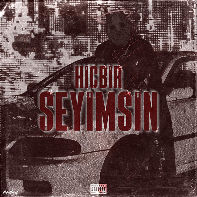 Hiçbir Şeyimsin cover art