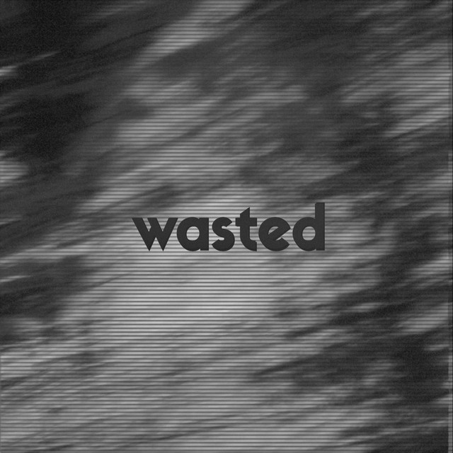 Wasted (Remix) (single)