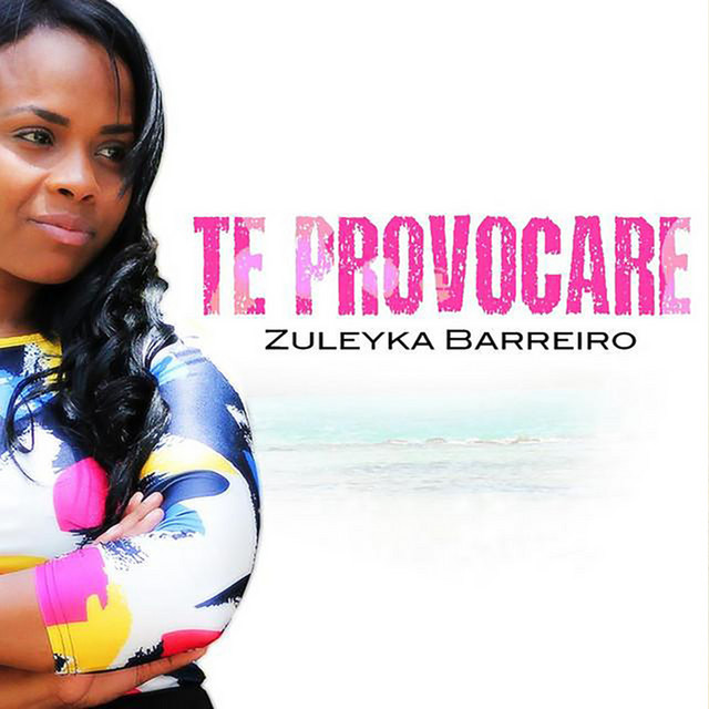 Te Provocaré cover art