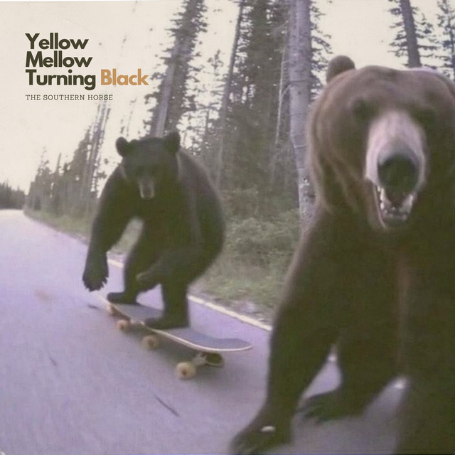 Yellow, Mellow, Turning Black cover art