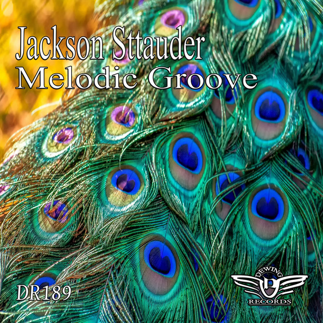 Melodic Groove cover art