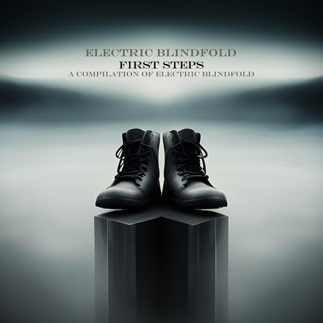 First Steps (A Compilation Of Electric BlindFold) cover art