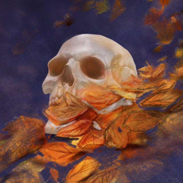 Reality by Jacob Lee