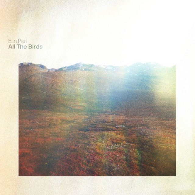 All the Birds cover