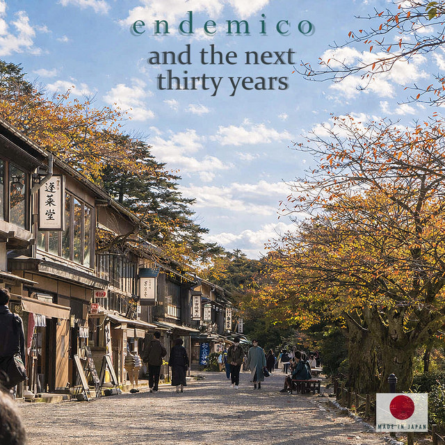 and the next thirty years cover