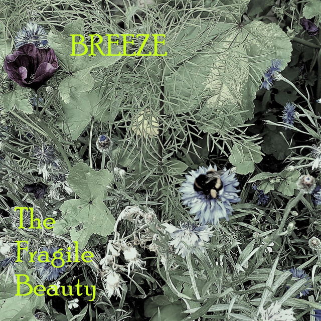 The Fragile Beauty cover art