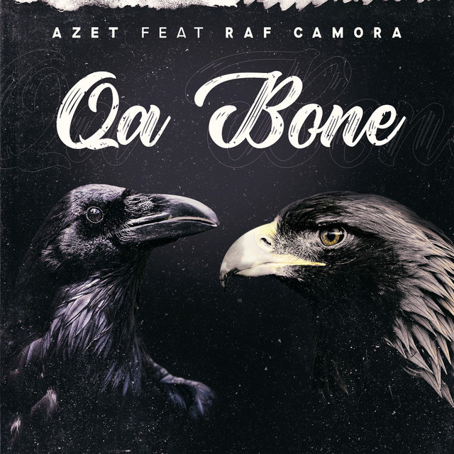Qa bone cover art