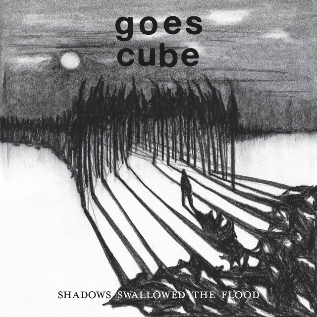 Shadows Swallowed The Flood cover