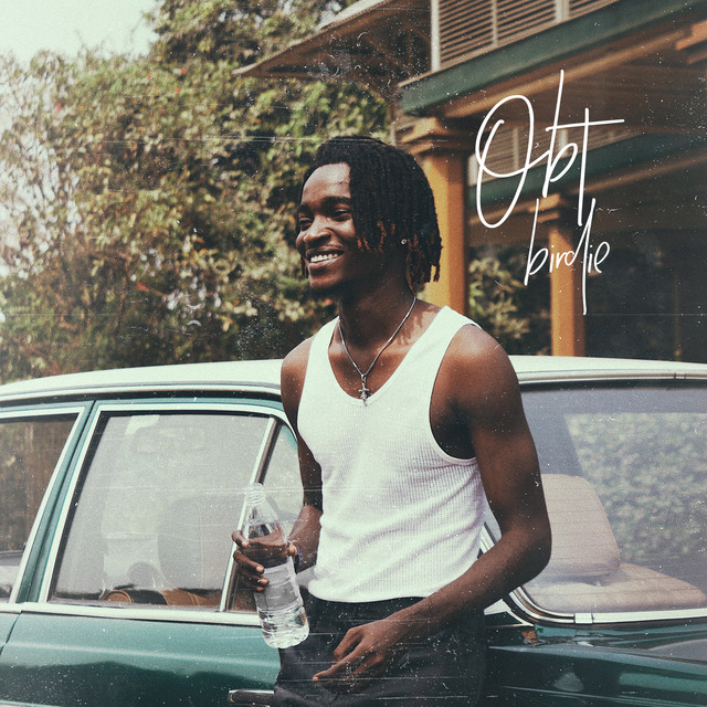 Birdie cover art