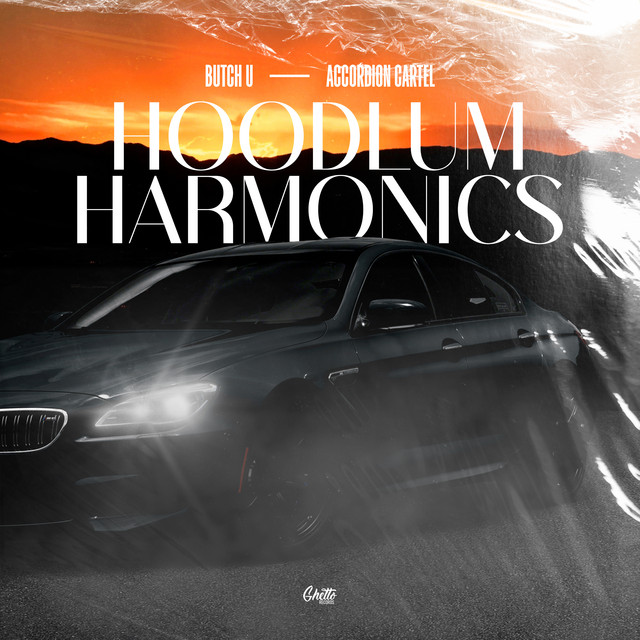 Hoodlum Harmonics