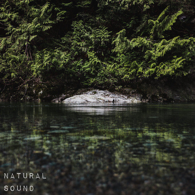 Natural Sound cover art