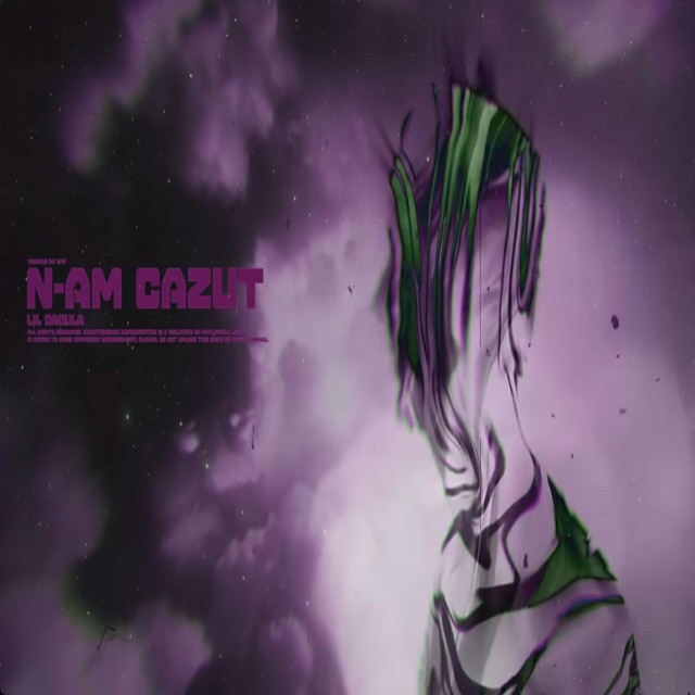N-am cazut