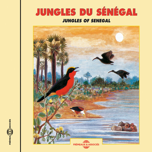 Jungles Du Sénégal