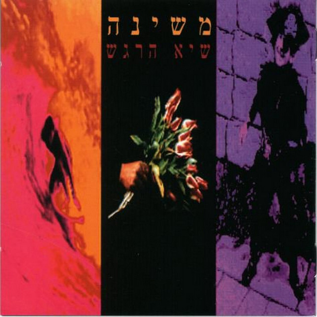 עטיפת השיר דני