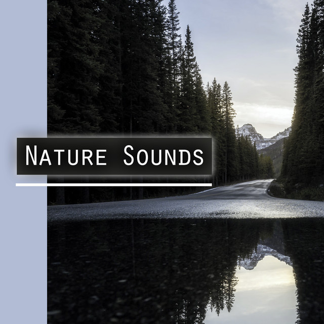 Nature Sounds ! ! ! Album by Tranquil Music Sound of Nature Spotify