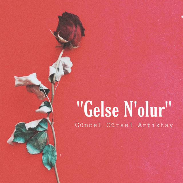 Gelse N'olur cover art