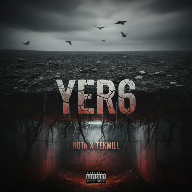 Yer6