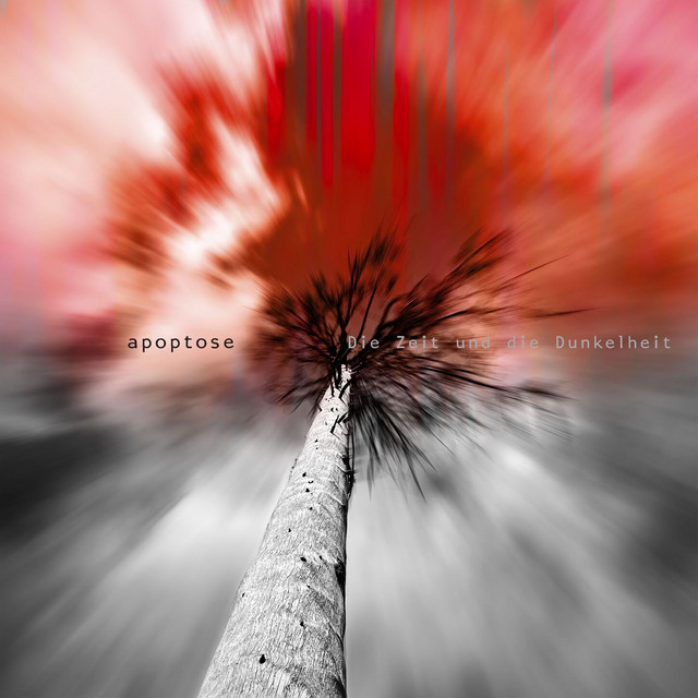 Die Zeit und die Dunkelheit cover art