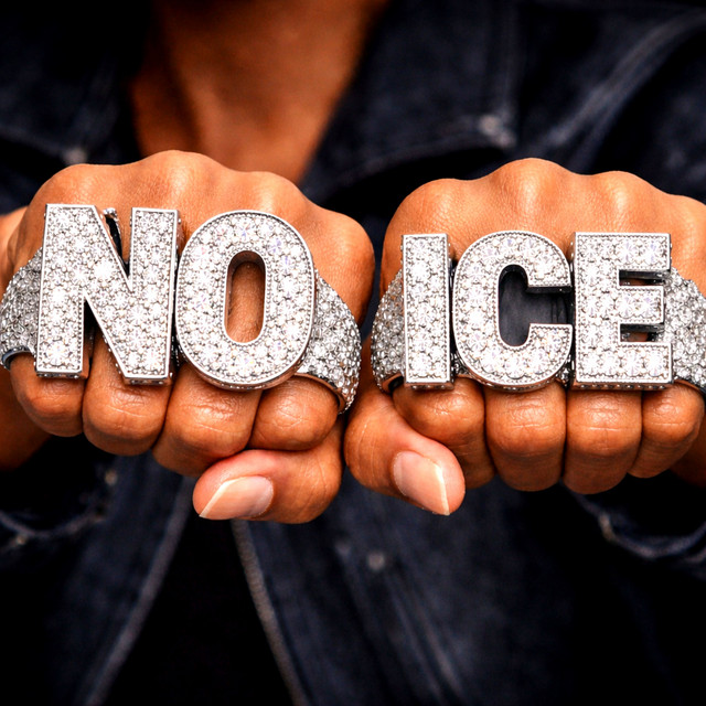 NO ICE cover art by ATARA NOVA