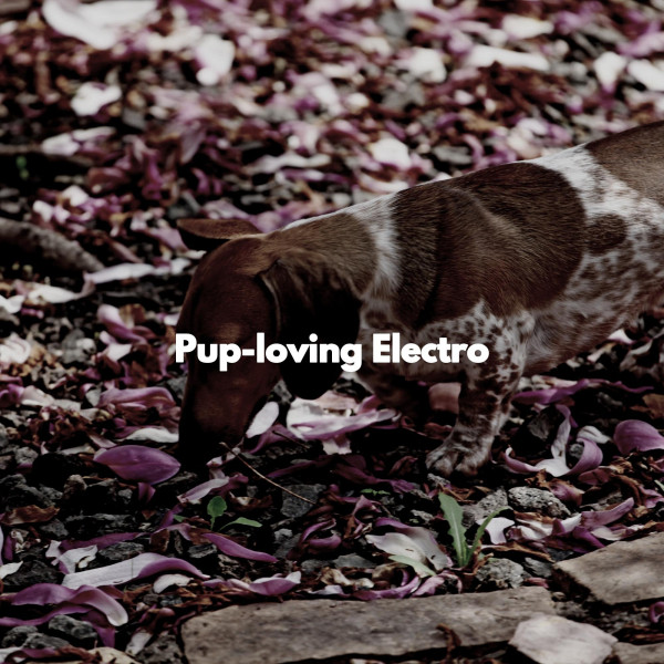 Pup-loving Electro cover art