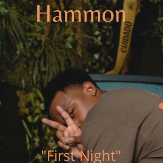 First Night - Single by Hammon | Spotify