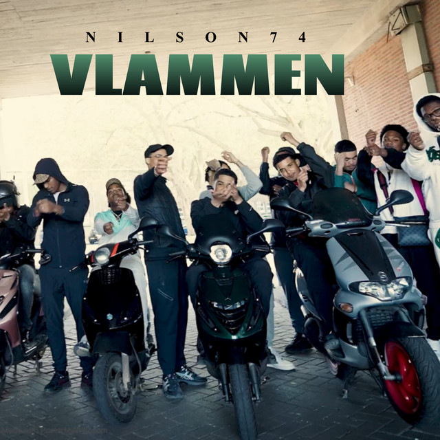 Vlammen cover art