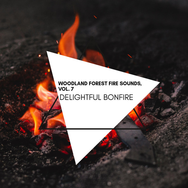 Delightful Bonfire - Woodland Forest Fire Sounds, Vol. 7 - Compilation ...