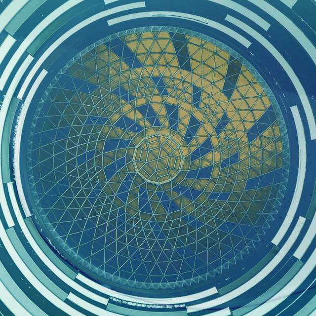 Circles cover