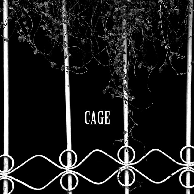 Cage